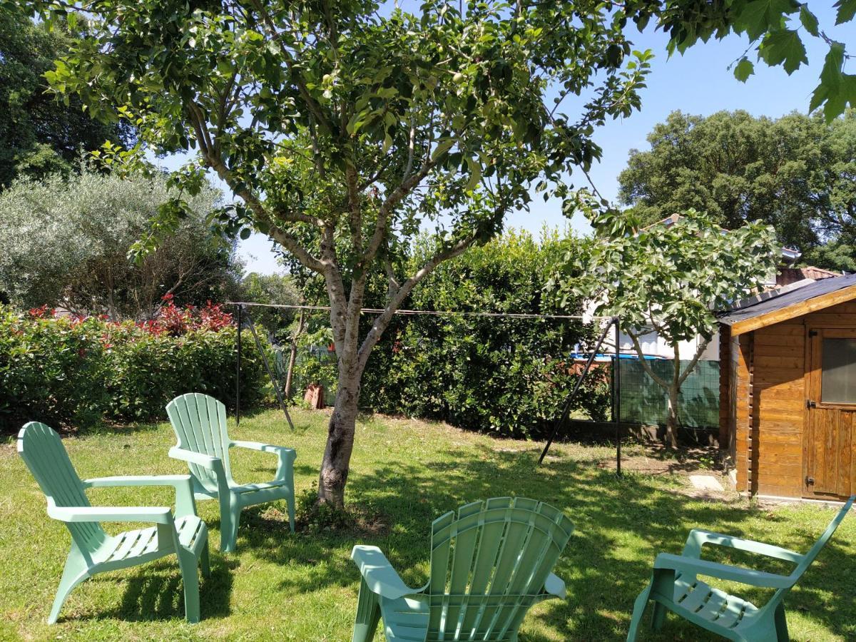 Maison Christy, Spacieux, Calme Avec Jardin Ondres Bagian luar foto